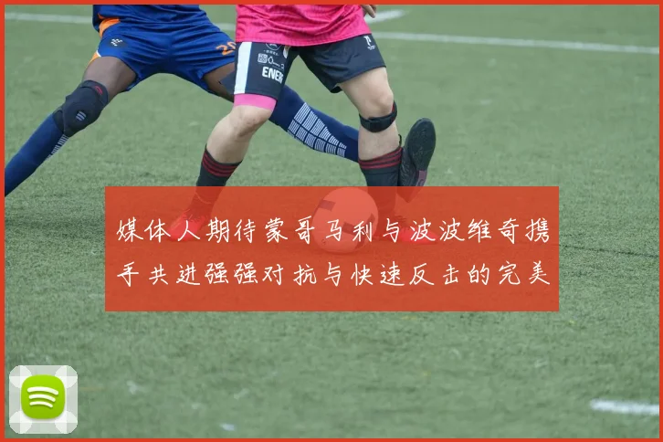 媒体人期待蒙哥马利与波波维奇携手共进强强对抗与快速反击的完美结合