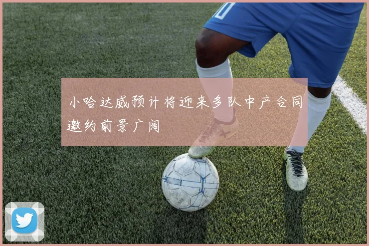小哈达威预计将迎来多队中产合同邀约前景广阔